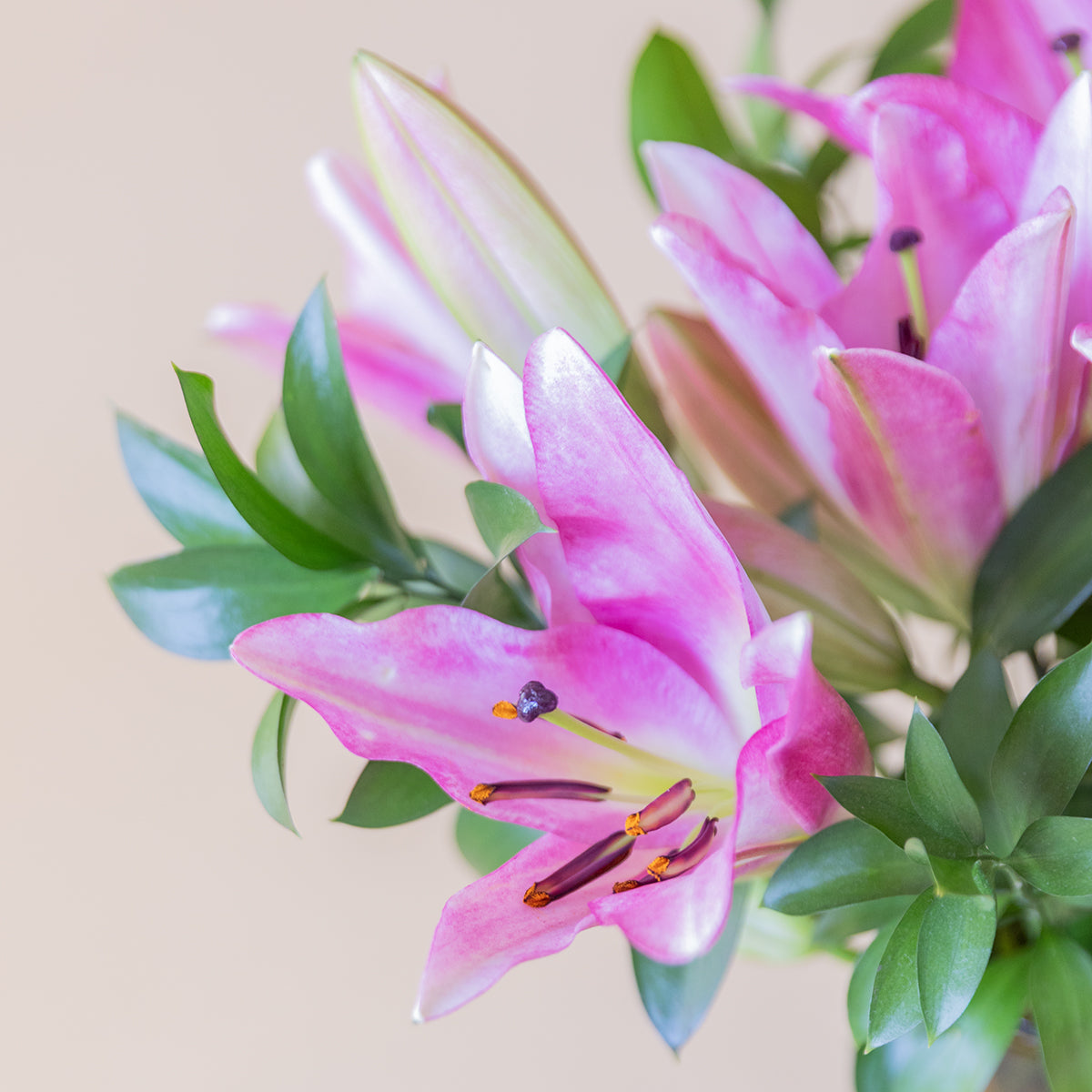 Pink Lilies – Oriental Lily Bouquet